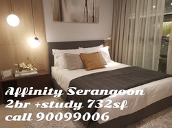 Affinity At Serangoon (D19), Apartment #175570292